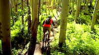 Will Johnson | Gliding the Grove