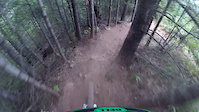 Hood River, PC, trail is Bladerunner