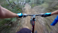 WILD PIG-LOCAL ENDURO TRAIL