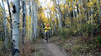 Aspen Alley