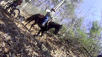 Lookout Mountain/Wild Oak Trail