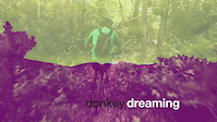 donkey dreaming
