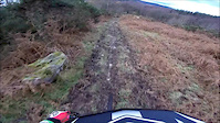 Chapel House Woods (Alternative bottom...