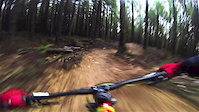 Freshly greased freehub + tacky trail =...