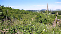 Panorama Trail