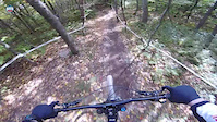 Trail of the Week: Plattekill Race Track