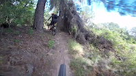 Balm Boyette Part 2