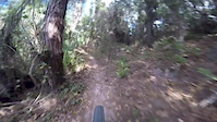 Balm Boyette Part 4
