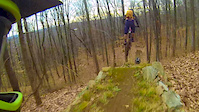 November Shred