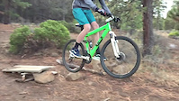 Goon Ridin the Wal-Goose