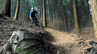 whinlatter bike trails