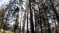 Magurka-Żar - Mountain biking in Little Beskid
