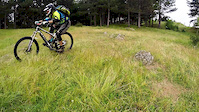 Prosenik - Rocky Trail