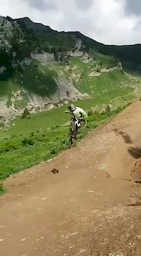 Vink Line Chatel 2017