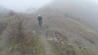 Foggy Zhelyava