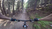 Sweet singletrack