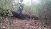 dropping off log