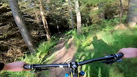 Mud and Roots, Glentress