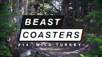 BC 14: Wild Turkey