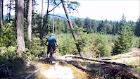 Amazing fun trail, with bridges, drops and...