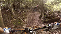 Ride Florestal do Alto