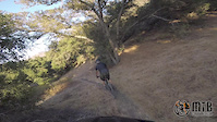 Coyote Trail