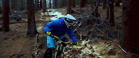 Vitosha, Goli Vrah trail, Bulgaria