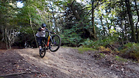 Sheffield Hits Surrey
