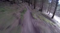 Glentress - Pie Run