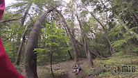 Ride into log and then hit a tree