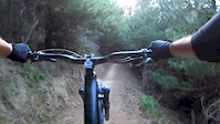 Turners Track, Nelson - Faceplant into tree.