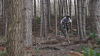 Same But Different - Wharncliffe
