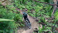 Joel Kristensen - Sunday Morning Shred