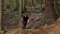 Trail Symphony