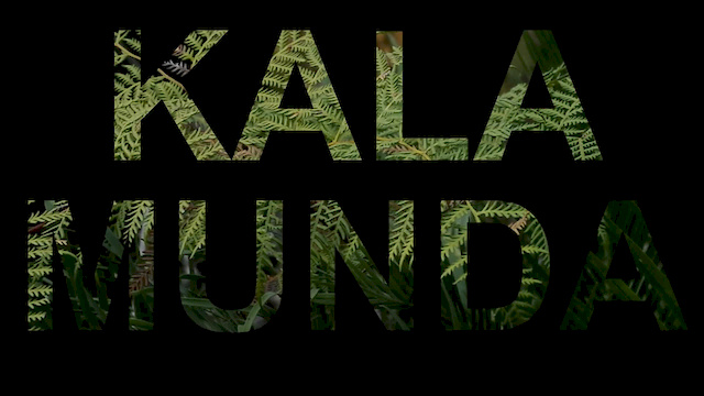 Must Watch Video