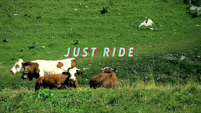 Must Watch Video