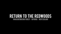 Return to the Rotorua Redwoods