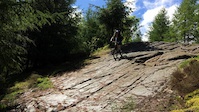 the slab at dalbeatti forest