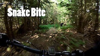 Snake Bite