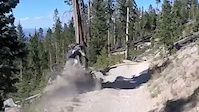 Riley Sends IT, into a tree