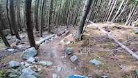 Norvège Brown snake (part 1)