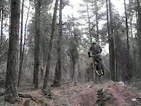 Spring Drops with Gabe