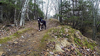 Up And At Er With Louie The Trail Dog