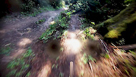Arcata jump trail- REBORN!