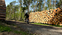 Logging Road