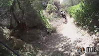 Los Pinetos Trail