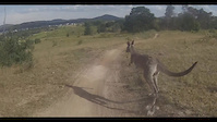 Australian Trail hazards - very Australian