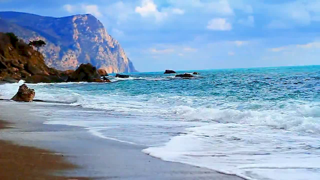 Must Watch Video