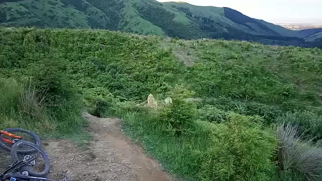 Must Watch Video
