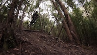 Ollie Tice - Ante Up